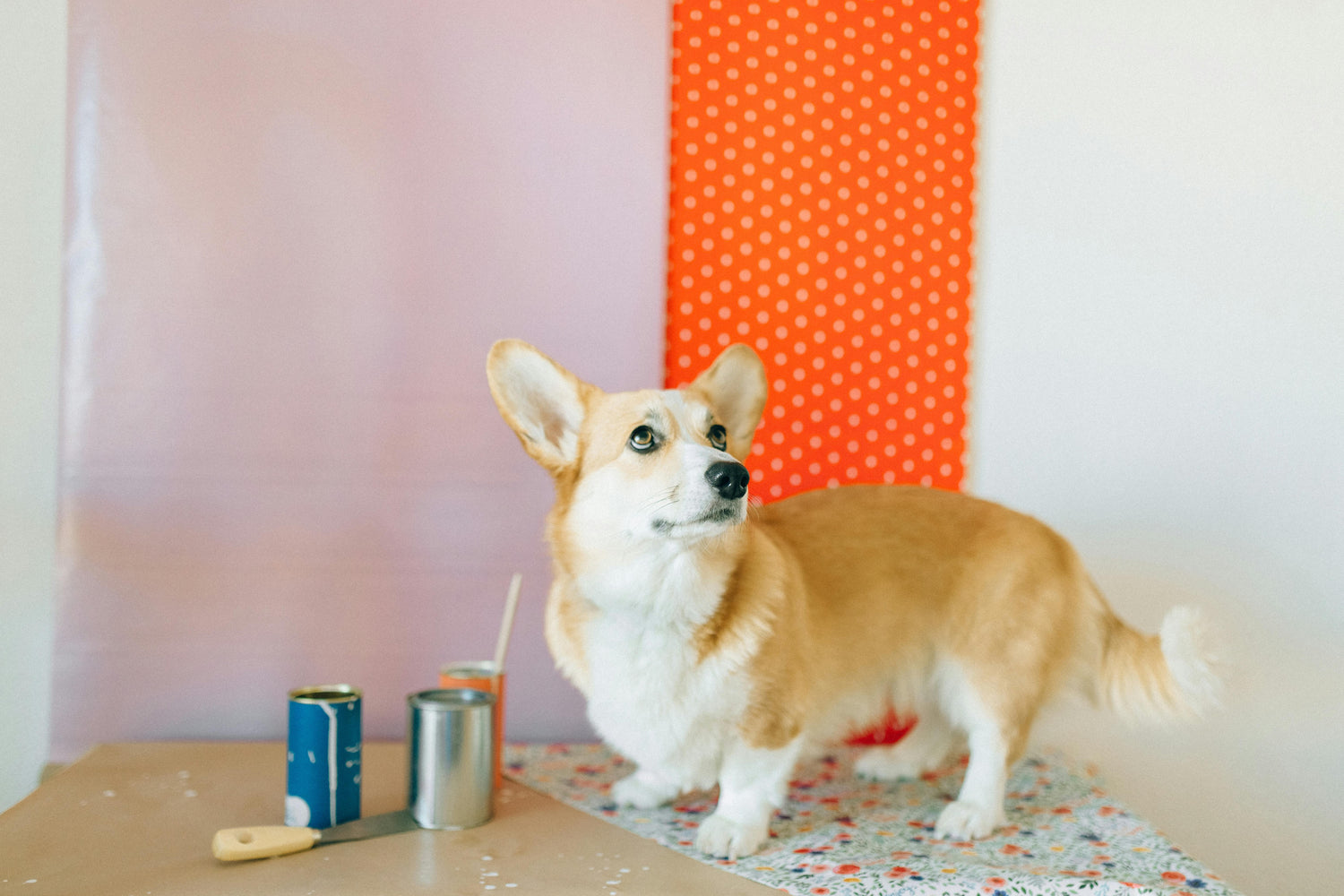 Artists and their dogs: inspiring stories of creativity and companionship